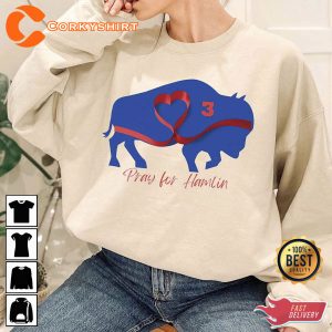 Love For 3 Damar Buffalo Heart Sweatshirt