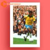 Remembering Pelé Brazil Soccer Wall Art