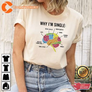 Why I Am Single Funny Valentines Day Shirt