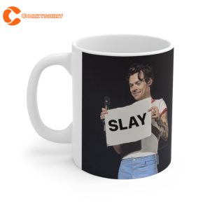 Harry Styles Meme Mug Funny Gift