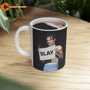 Harry Styles Meme Mug Funny Gift