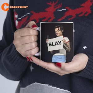 Harry Styles Meme Mug Funny Gift 3