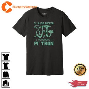 3.14 Pithon Pi Day Sweatshirt Celebrate Mathematics