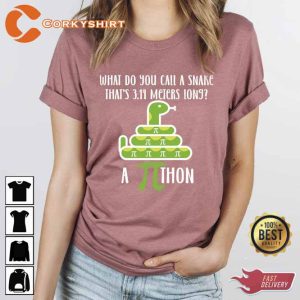 What Do You Call A Snake That Is 3.14 Meters Lon9 Funny Pi Day Shirts