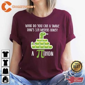 What Do You Call A Snake That Is 3.14 Meters Lon9 Funny Pi Day Shirts