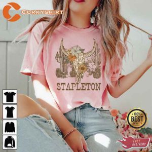 Vintage Inspired Chris Stapleton Country Music Shirt For Fans