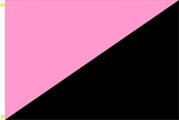 Anarchism Queer 2 Color Diagonal Nylon American Flag