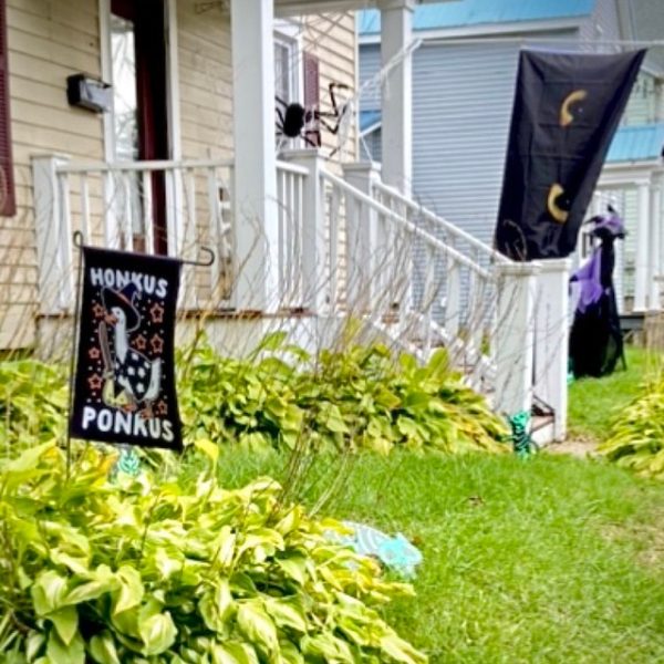 Honkus Ponkus Garden USA Flag