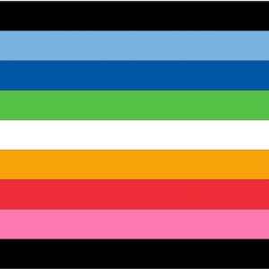Queer Pride USA Flag