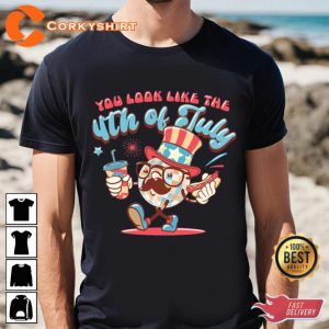 You Look Like The 4th Of July Hot Dog Happy Holiday T-Shirt