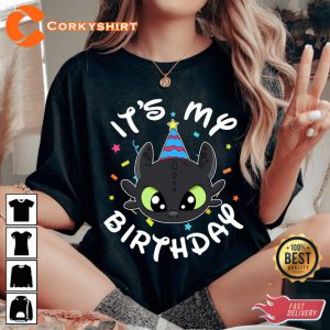 How To Change Your Dragon Toothless Birthday Portrait T-shirt