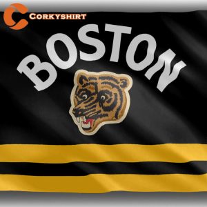 Boston Bruins Hockey Team Memorable Flag Fan Best Banner