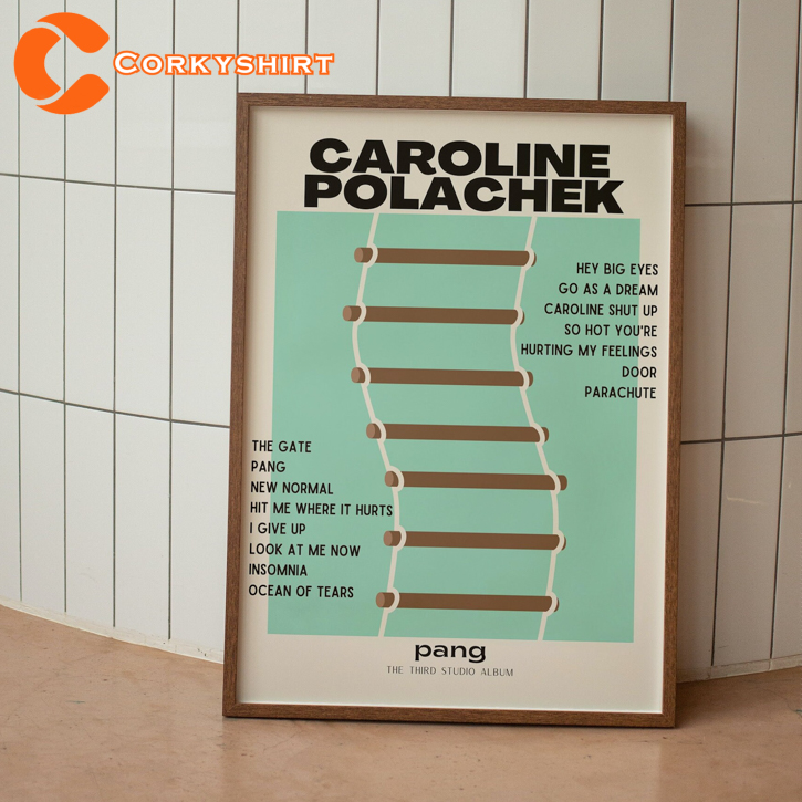 Vintage Caroline Polachek Pang Album Wall Art Poster