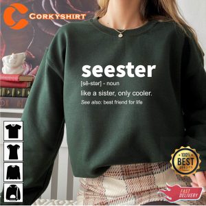 Seester Noun Meaning Sister Gift Shirt