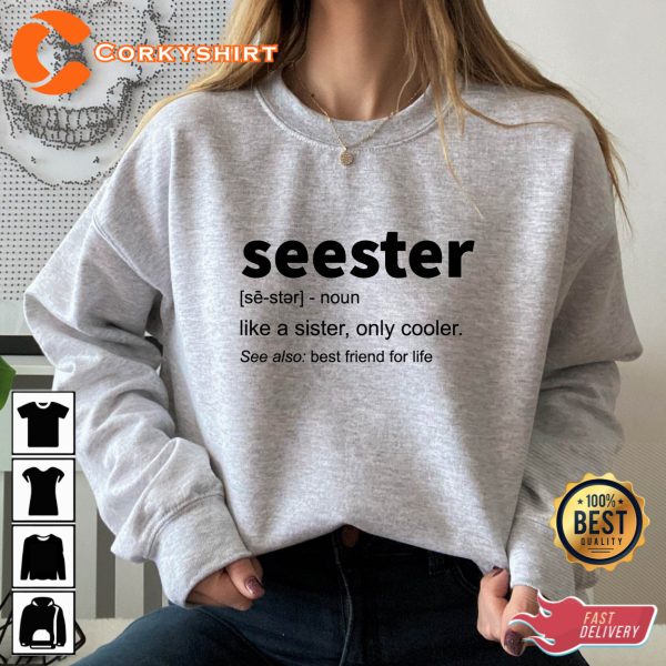 Seester Noun Meaning Sister Gift Shirt