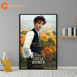 Timothee Chalamet Poster Little Women Movie