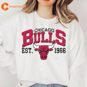NBA Vintage Basketball Chicago Bulls Shirts