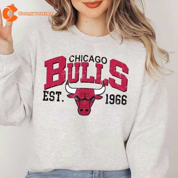 NBA Vintage Basketball Chicago Bulls Shirts